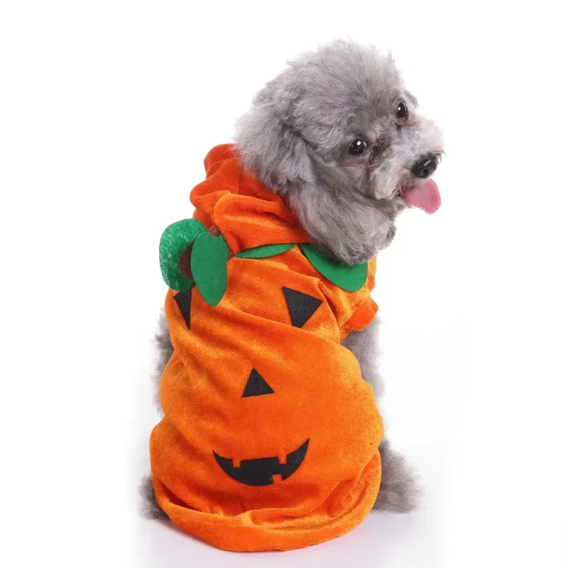 Halloweenkostymer för Hund & Katt – Festliga Dräkter