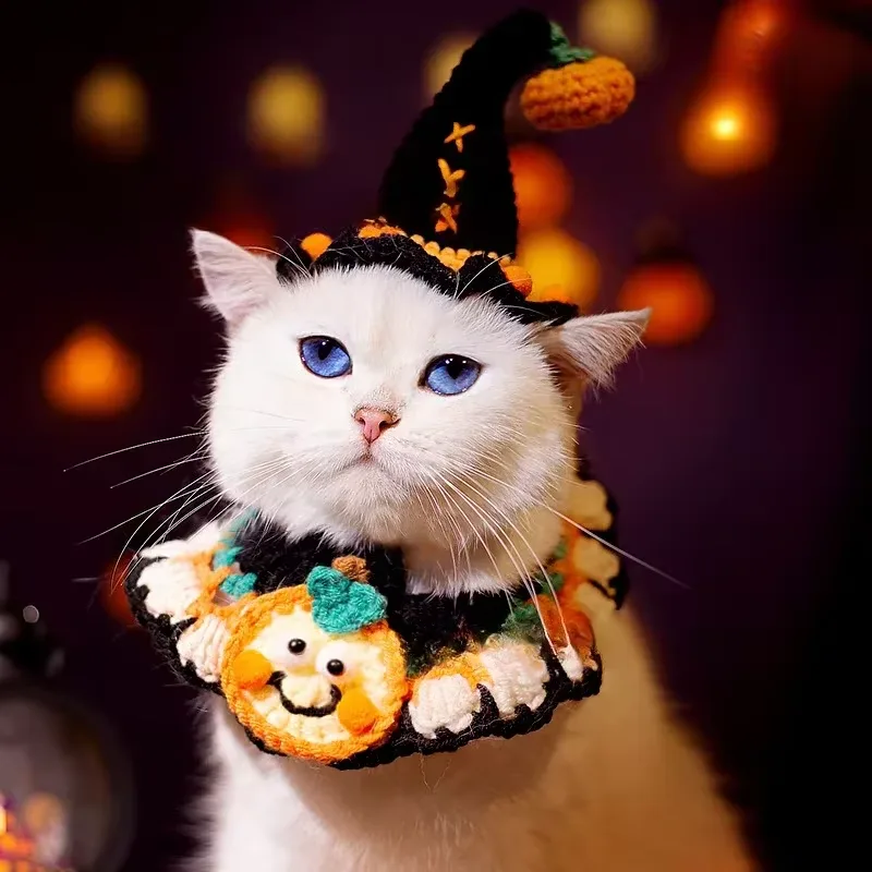 Halloween-krage för katt och hund – handvirkad halsduk