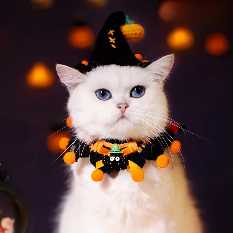 Halloween-krage för katt och hund – handvirkad halsduk