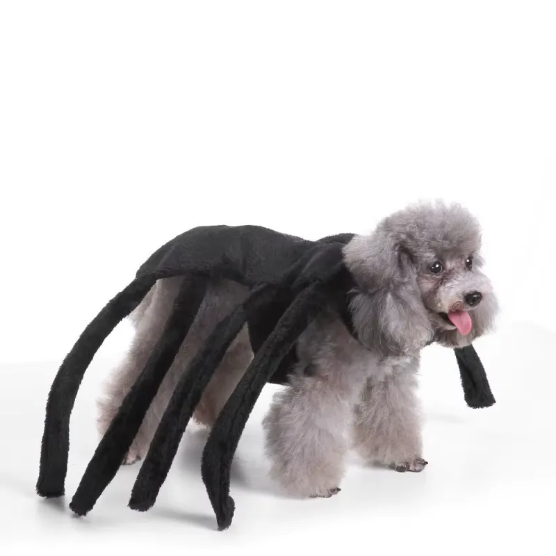 Halloweenkostymer för Hund & Katt – Festliga Dräkter