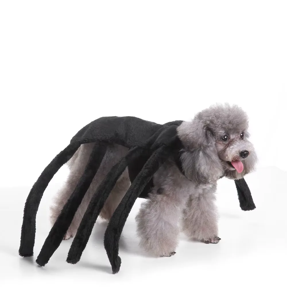 Halloweenkostymer för Hund & Katt – Festliga Dräkter